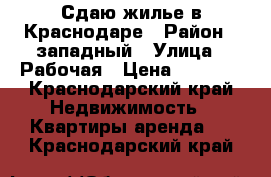 Сдаю жилье в Краснодаре › Район ­ западный › Улица ­ Рабочая › Цена ­ 3 500 - Краснодарский край Недвижимость » Квартиры аренда   . Краснодарский край